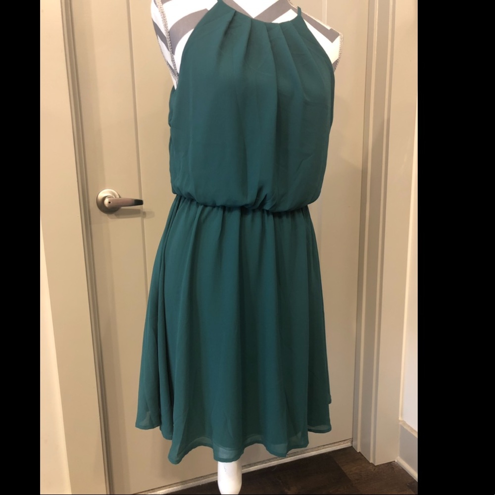 Francesca’s Green Dress